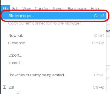 Klik File lalu Pilih Site Manager