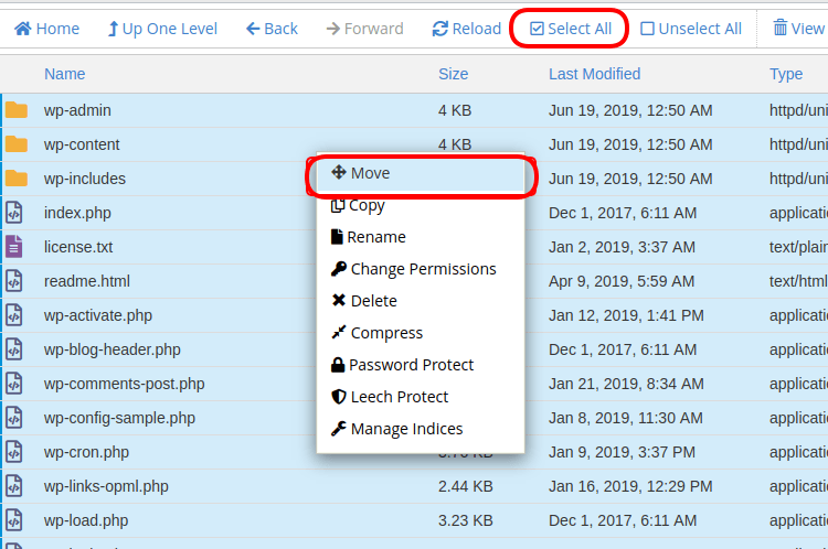 Cara Hosting Website Select All Move