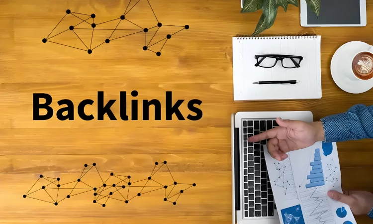 Pengertian backlink profile, Sumber: nnn.ng