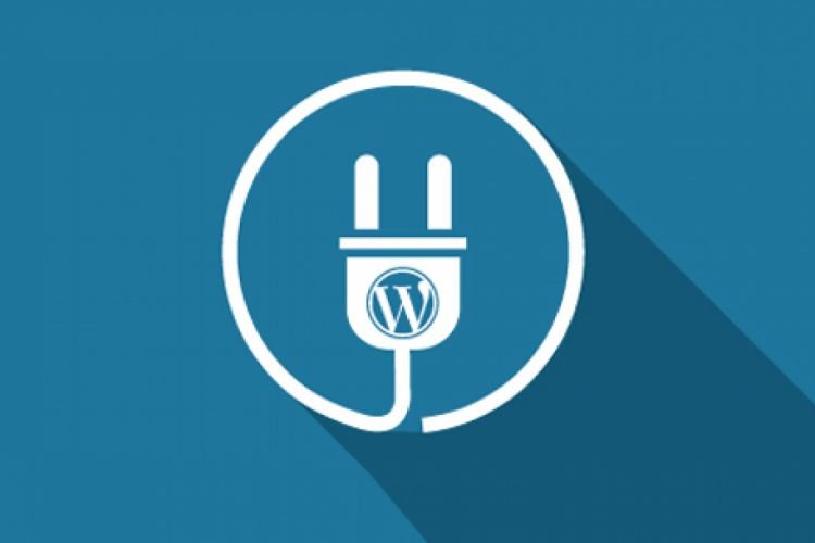 Plugin Wajib Wordpress