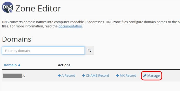 Konfigurasi DNS Manage