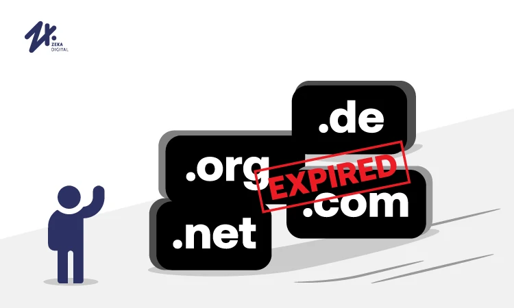 Domain yang expired, Sumber: zekadigital.com