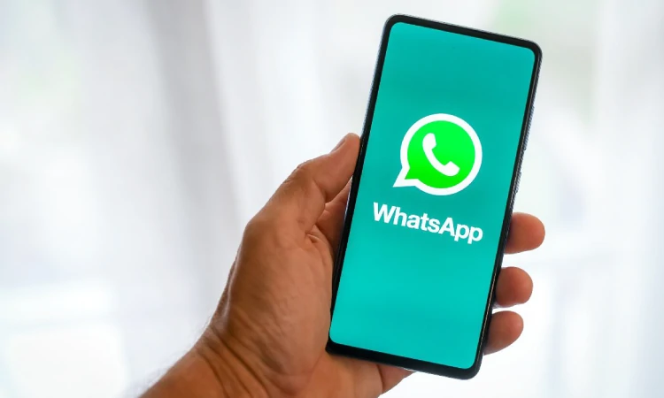 Informasi terkait cara memasang WhatsApp di blog, Sumber: popmama.com