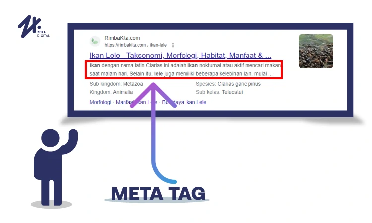 Tentang meta tag, Sumber: zekadigital.com