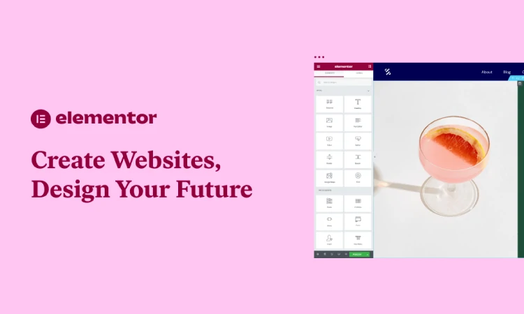 Elementor, Sumber: elementor.com