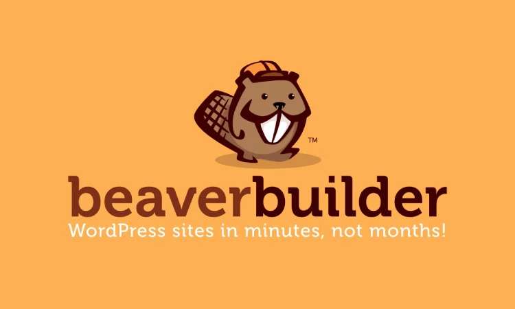 Beaver builder, Sumber: wpbeaverbuilder.com