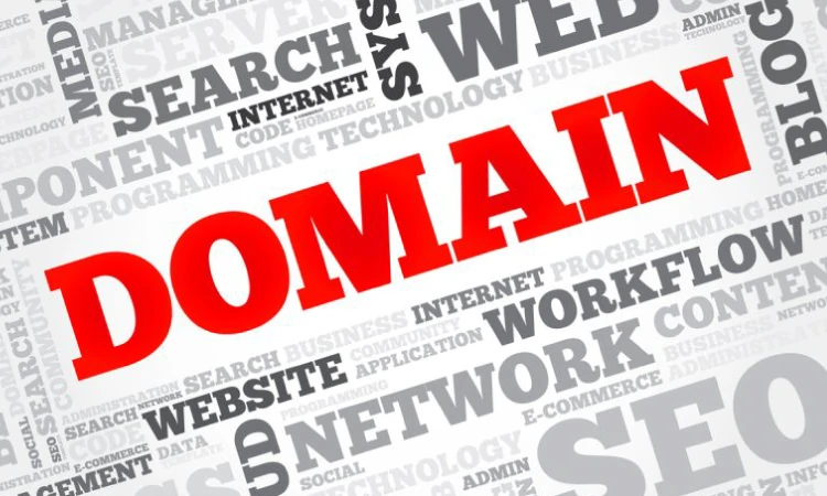 Tentang aged domain, Sumber: lawdonut.co.uk