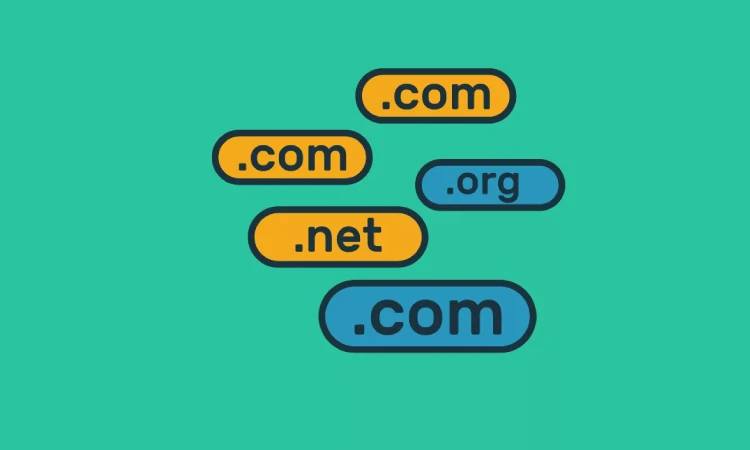 Berbelanja domain dan hosting, Sumber: androidponsel.com